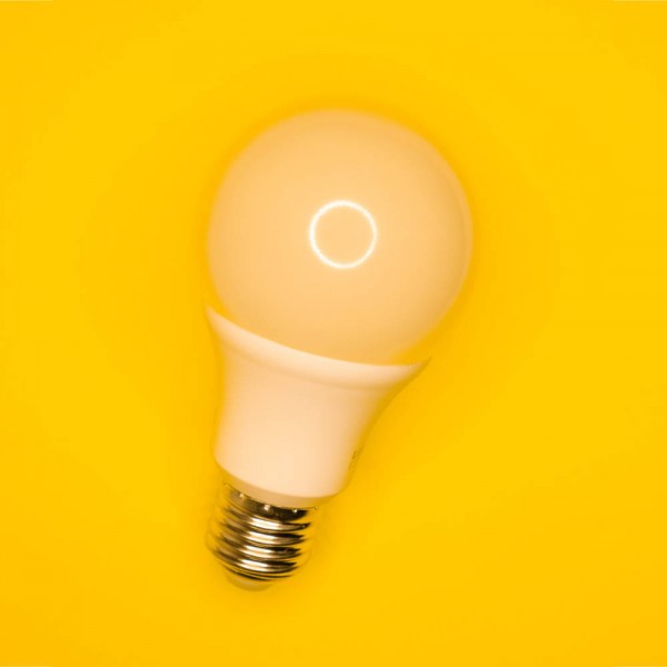 Tuesday Light bulb